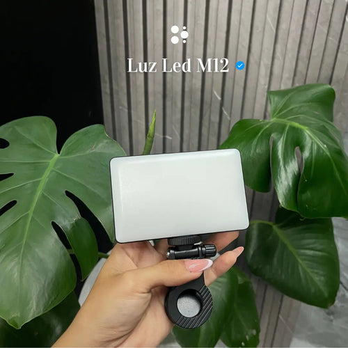 Luz M12