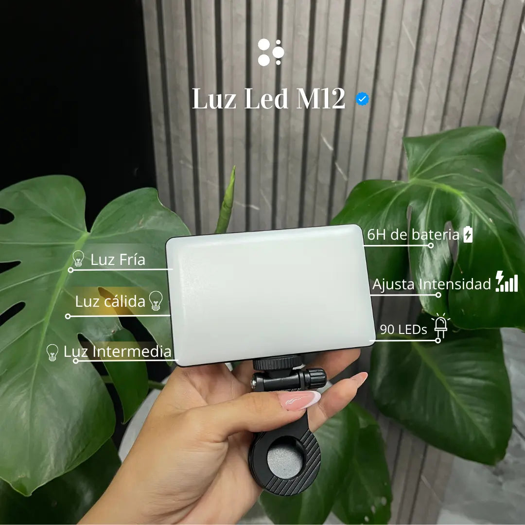 Luz M12