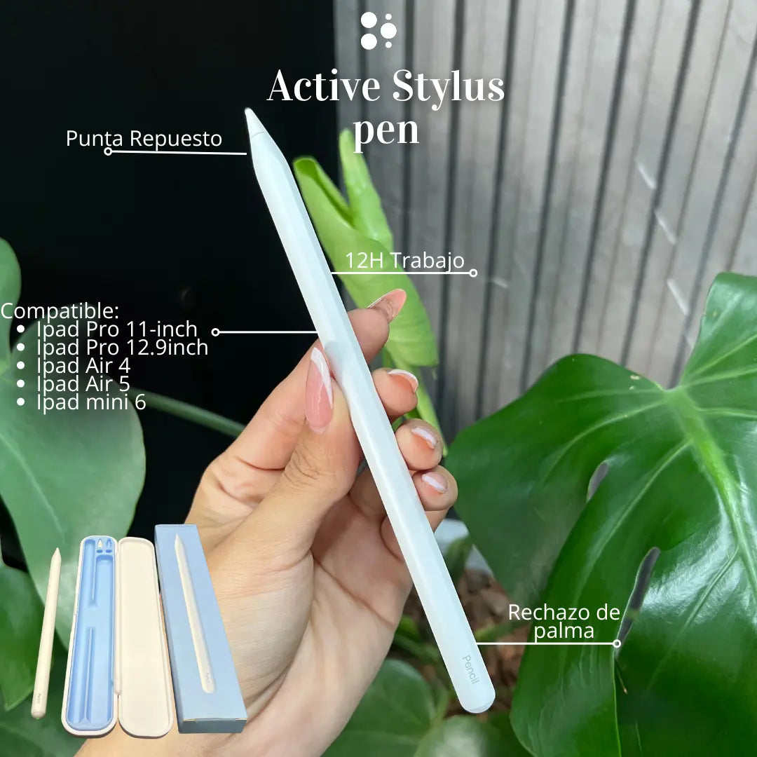 Pencil Palm reject P10