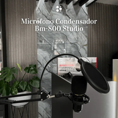 Microfono Condensador Bm-800 Studio