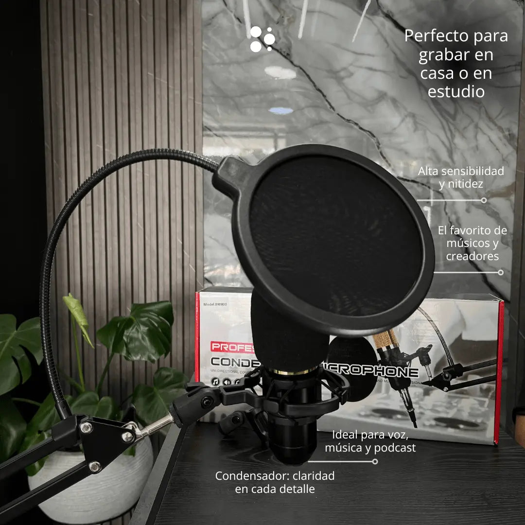 Microfono Condensador Bm-800 Studio
