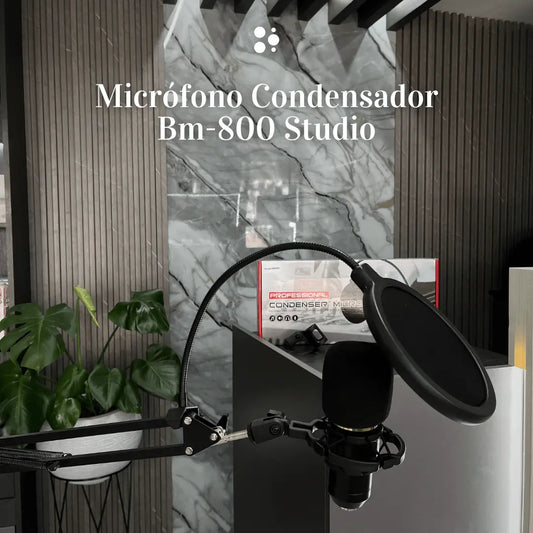 Microfono Condensador Bm-800 Studio